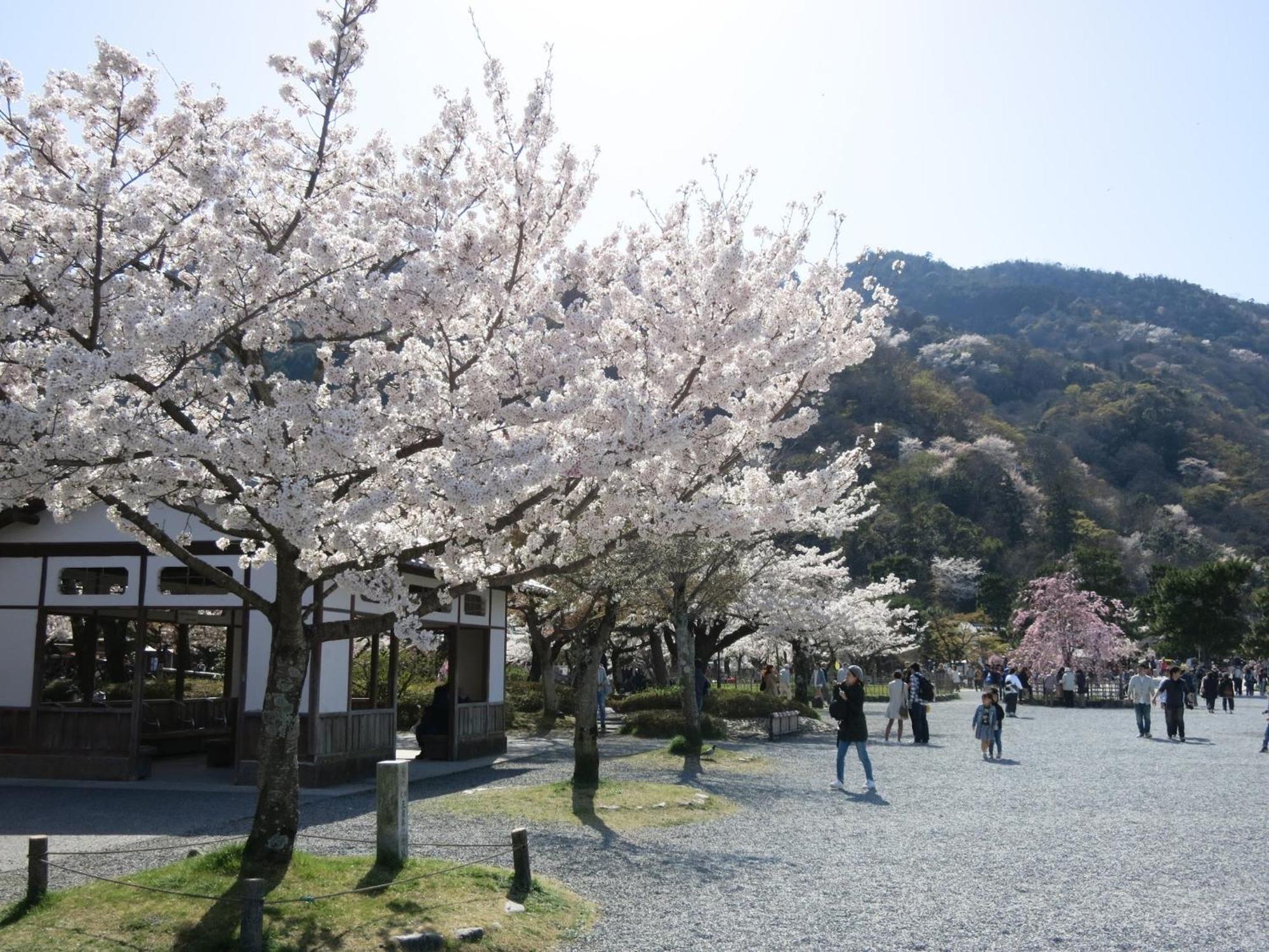 The Grandwest Arashiyama Aparthotel Kyoto Exteriör bild