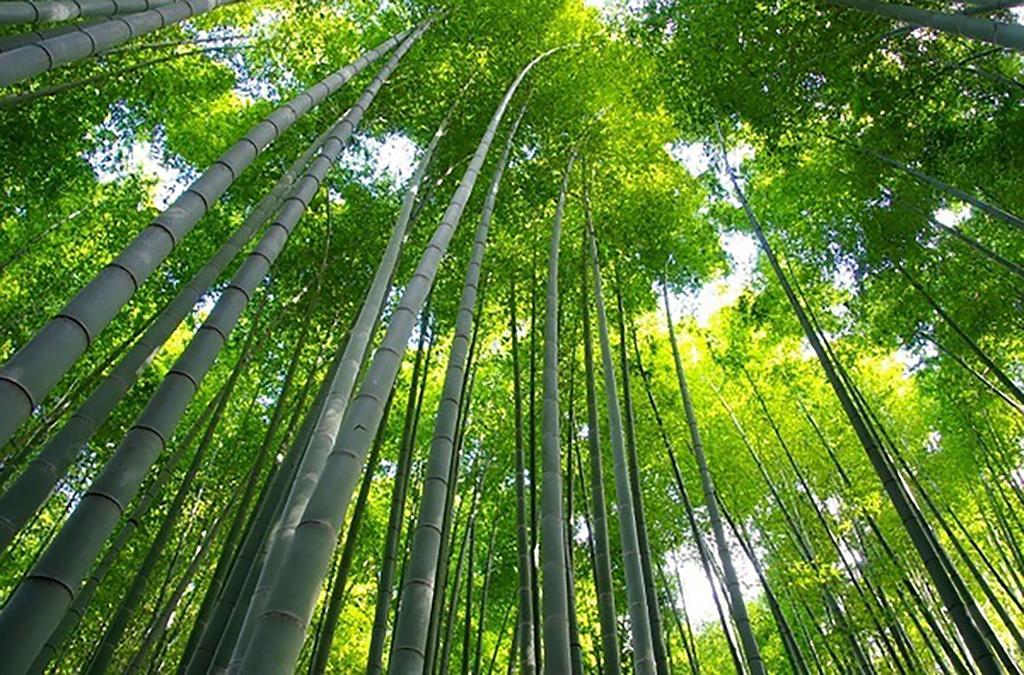 The Grandwest Arashiyama Aparthotel Kyoto Exteriör bild